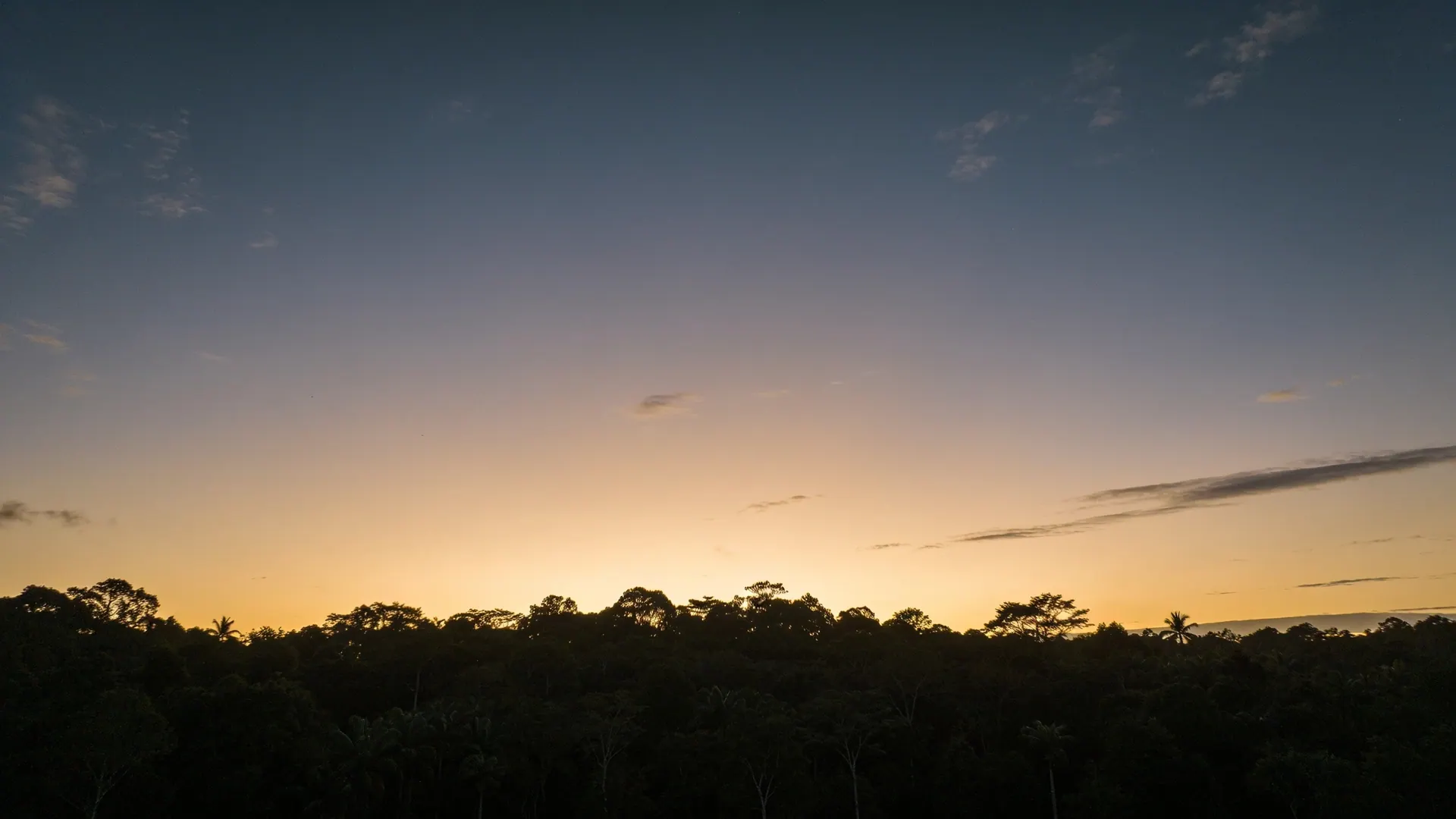 Céu de entardecer sobre a linha escura da mata, do ocre ao azul-cinza