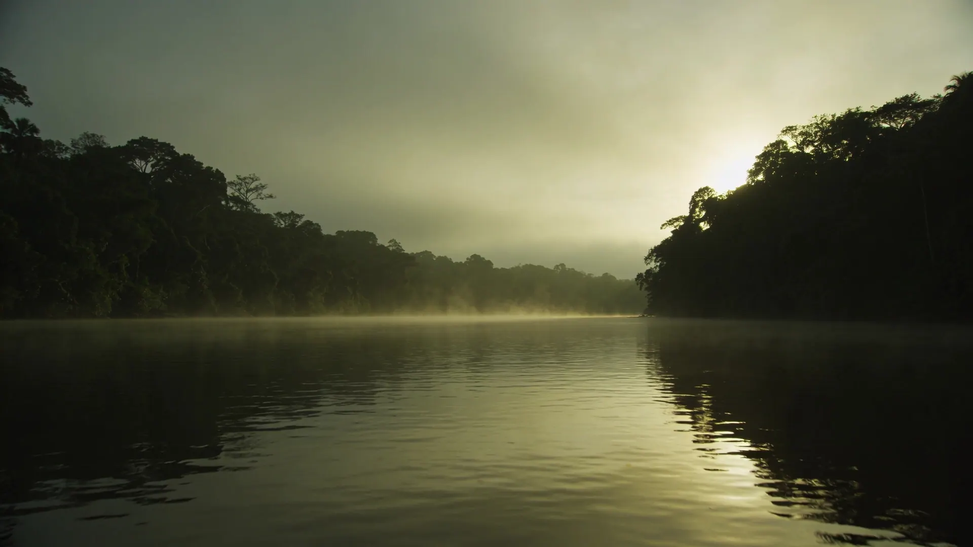 Rio amazônico ao amanhecer, com névoa baixa sobre a água e mata escura nas margens