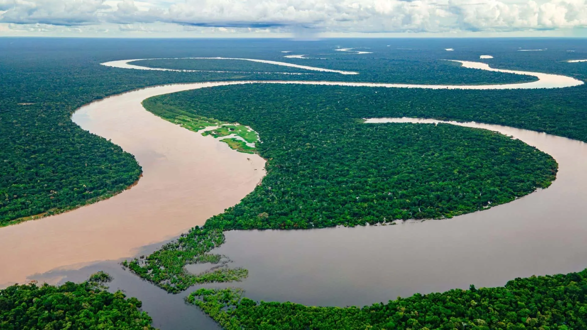 Rio Amazonas, meandro visto de cima