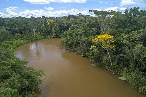 Rio Jamari, curva do rio