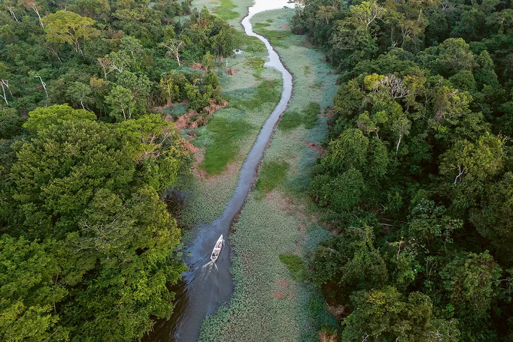 Rio Juruá, aérea com estrada de água na floresta