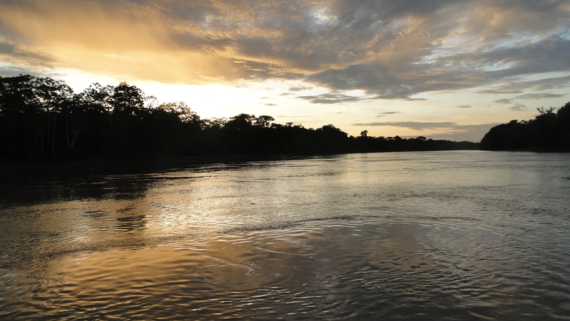 Rio Purus, entardecer na margem