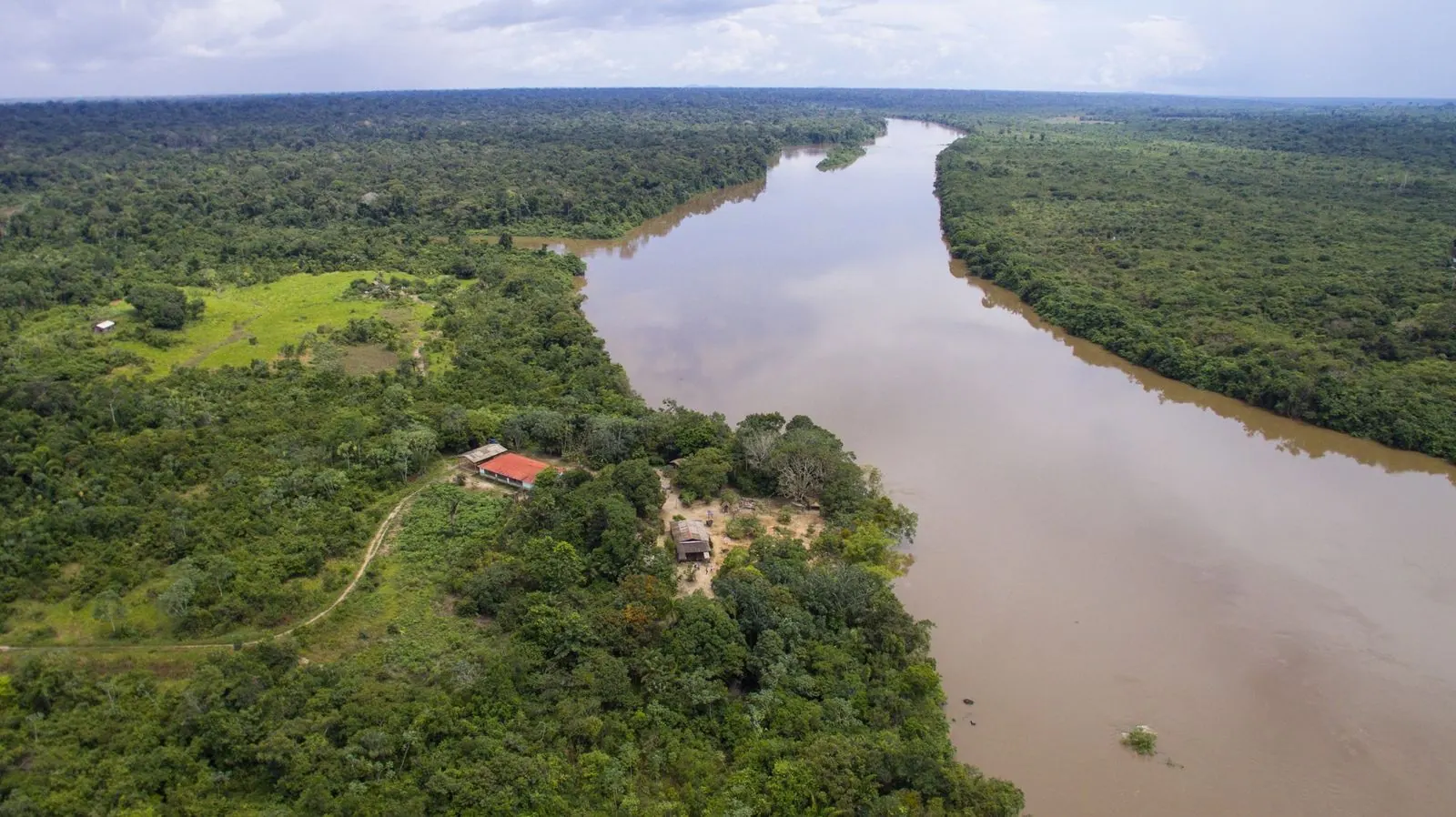 Rio Roosevelt, aérea com curva e floresta